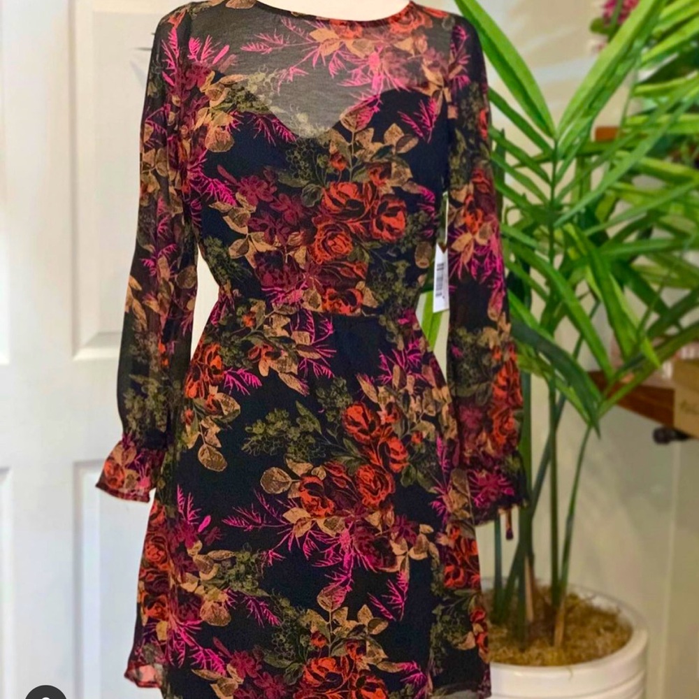Sheer long sleeve dress